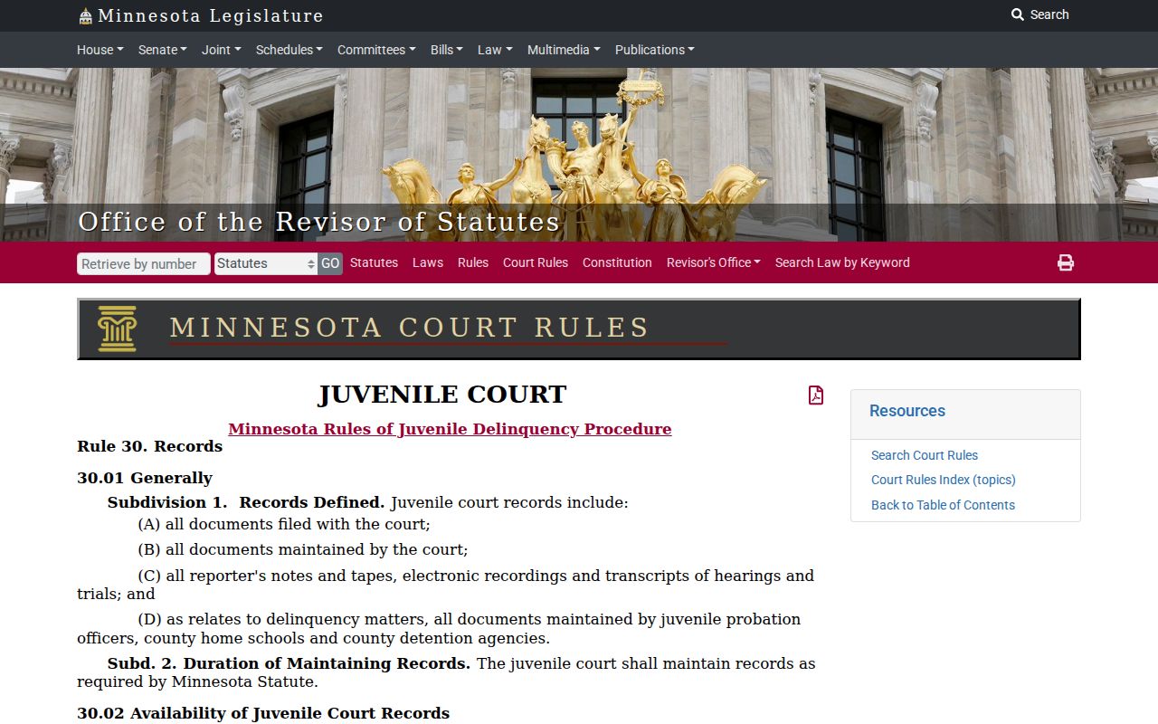 Martin County case search juvenile record access rule